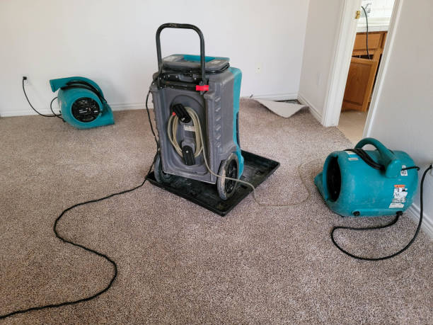 Best Basement water damage restoration  in Galena, KS