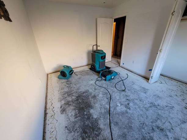 Best Ceiling water damage repair  in Galena, KS