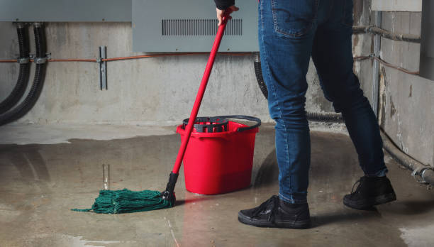 Best Residential water damage restoration  in Galena, KS