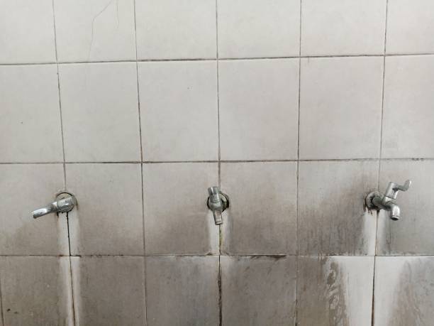 Best Water damage restoration mold remediation  in Galena, KS